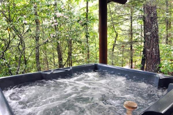 #2220 Little Wing Villa Gatlinburg Ngoại thất bức ảnh